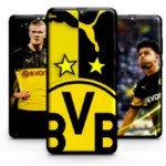 dortmund wallpaper android application logo